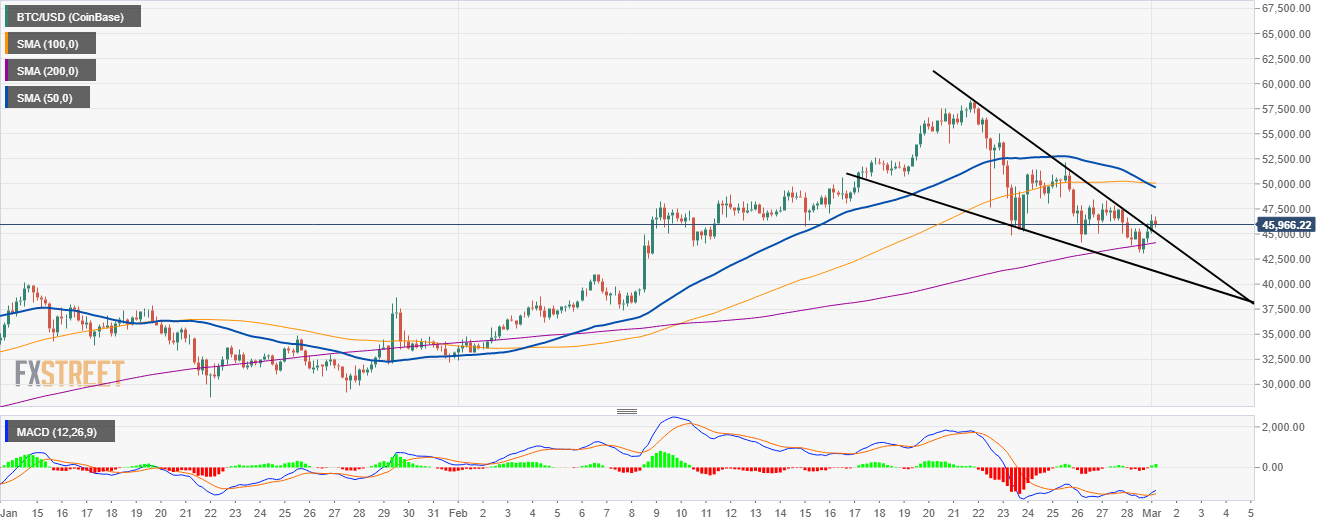 btc collateralized loans